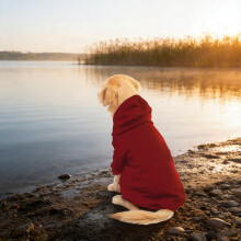Dog Hoodie Fleece Sweatshirt for Cold Weather