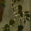 Eucalyptuskrans van 1,8 meter met 96 warmwitte LED's 5