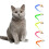 Katt Wiggly Mask Leksaksset 5 delar 4