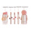 Kit de pinceaux de maquillage multifonctions 5 pièces 4