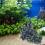 Hars bergrotsdecoratie voor aquariums (1 stuk) 4