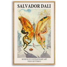 Vászonkép Salvador Dalí Butterfly Art 16x24 hüvelykes natúr