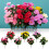 UV-resistenta konstgjorda blommor för utomhusbruk – 1-pack 5