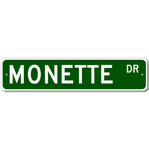 Comhartha Sráide Monette Drive Miotal 4x16 Orlach