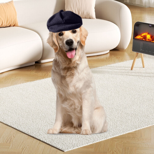 Hundbasker Mode Husdjursmössa Fransk Stil Kattmössa 1