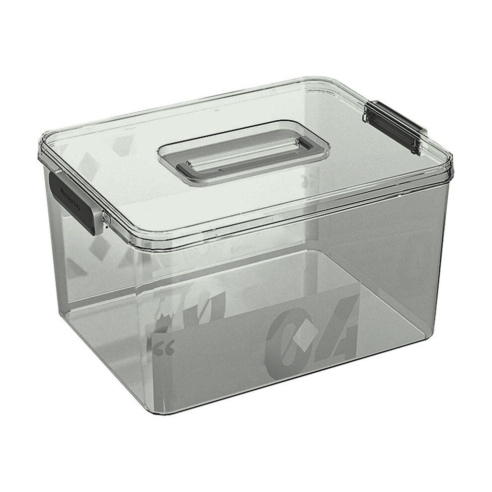 Transparent medicine storage box with handle and multiple