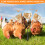 Chicken Treat Dispenser Interactive Slow Feeder Toy 2 Pack 5