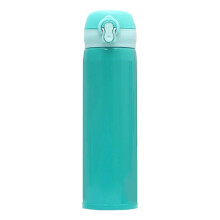 Stainless Steel Insulated Water Bottle with Straw Lid 500ml