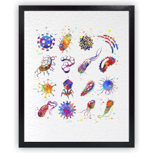 Estampe aquarelle de bactéries 11x14 sans cadre