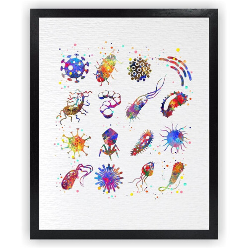 Estampe aquarelle de bactéries 11x14 sans cadre