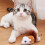 Interactive Cat Toy Electric Mouse Teaser 1 Pack 8