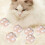 Cat Toy Balls Soft Pompom with Bell 6 PCS 4