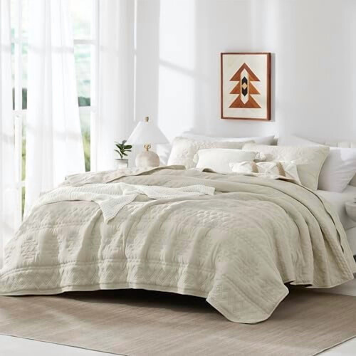 Beige Boho Queen Quilt Set with 2 Shams, 3-Piece 1