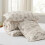 Queen Comforter Set Beige Floral 3-Piece 6
