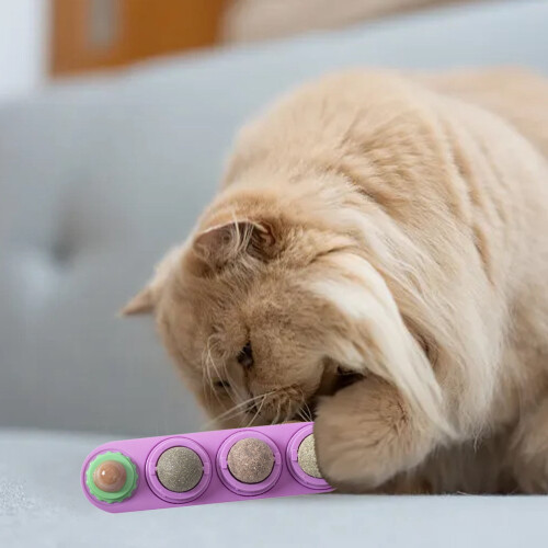 Kattklubba för mental stimulering 1