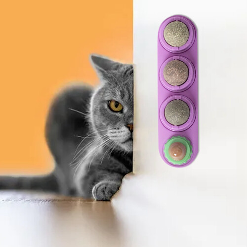 Kattklubba för mental stimulering 2
