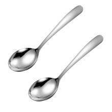 Stainless Steel Serving Spoon 2-Pack