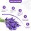 French Lavender Sachets Purple 8 pcs 6