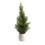 Faux Pine Tree in Grey Plastic Pot 21 Inch 1