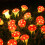 Lampki choinkowe 3D Mushroom String 5FT10LED na baterie 5