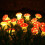 Lampki choinkowe 3D Mushroom String 5FT10LED na baterie 8