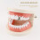 Dental Grills Hip Hop Plain Single Tooth Cap Silver 7