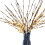 ZOELNIC verlichte takken wit, 4-pack, 20 LED's 1