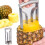 Stainless Steel Pineapple Corer Peeler 1 Piece 1