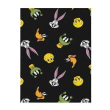 Looney Tunes plush throw blanket 50" x 40"