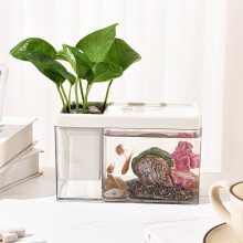 Gold Fish Box Pen Rack Transparent Desktop Organizer