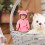 Pig-shaped doll clothes accessories 1 piece 2