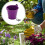 Galvanized Metal Ice Bucket with Handle Purple 5 Pcs 8