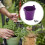 Galvanized Metal Ice Bucket with Handle Purple 5 Pcs 7