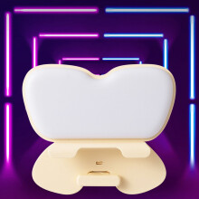 Lampe selfie LED rechargeable à pince avec 3 vitesses et 9