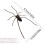 Brown Spider Fridge Magnet 3D Realistic Halloween Decoration 3