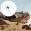 Brown Spider Fridge Magnet 3D Realistic Halloween Decoration 4
