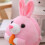 USB Interactive Bouncing Ball Toy for Kids Rechargeable 4
