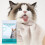 Pet Cleaning Gloves Disposable Waterless Bath 1 Pair 2