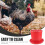 Red Plastic Poultry Feeder for Home Use 1 Unit 2