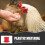 Red Plastic Poultry Feeder for Home Use 1 Unit 5