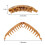 Bananklips sklisikre lette, 10-pakning 3