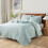 Sprout Green Twin Quilt Set Microfiber 1 Sham 4