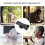 4Pieces Multipurpose Window Sash Lock Black Mounting Hole Centers Replacement With Screws for Sliding Window Use 2