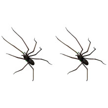 2X Spider Fridge Magnet, Realistic Spider Magnets, Cute Spiders Design Decorations for Refrigerator, Garage Door, A