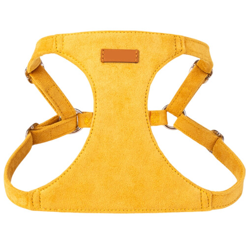 Ensemble harnais et laisse pour petits chiens, taille M 1