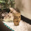 Artificial Landscape Rock Decorative Stone 18x14x26cm 6