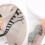 Boy's Summer Briefs Cartoon Car Print 3 Pack 5