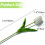 Künstliche Tulpenstiele, Real-Touch, 34,3 cm 3