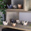 Papirkatte Origami Kit 50 Ark 8