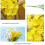Bouquet di margherite artificiali, 10 pezzi 4